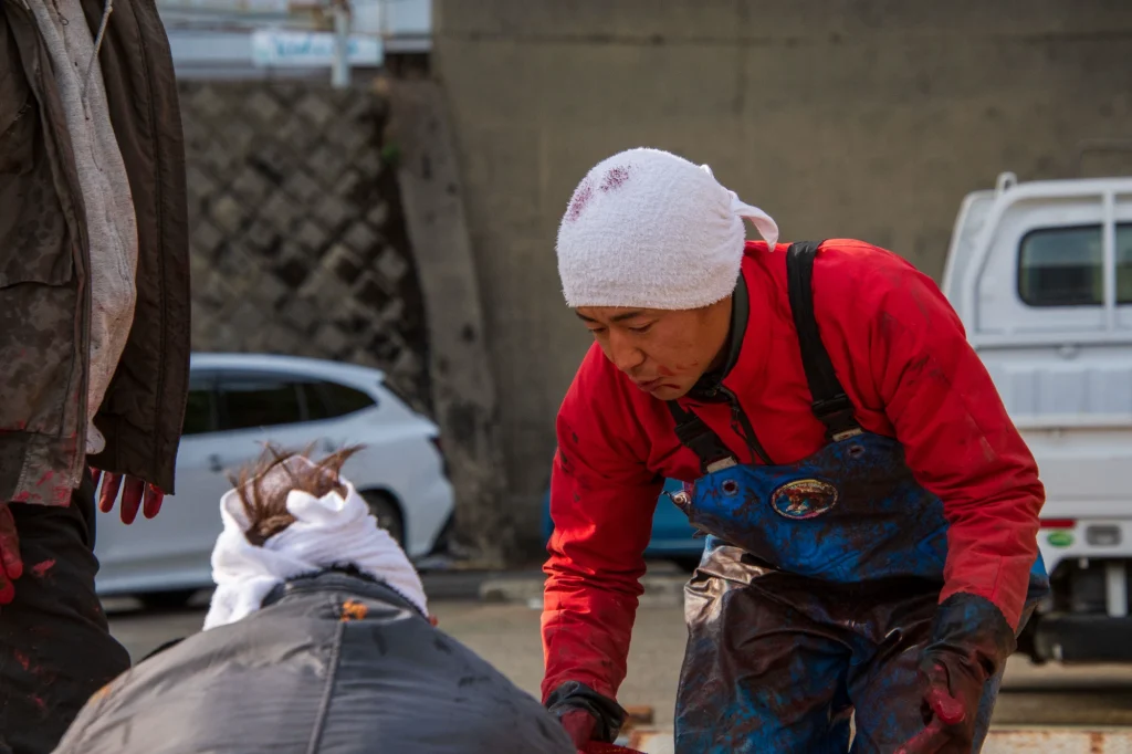 2月整備・準備期写真(26年2月)