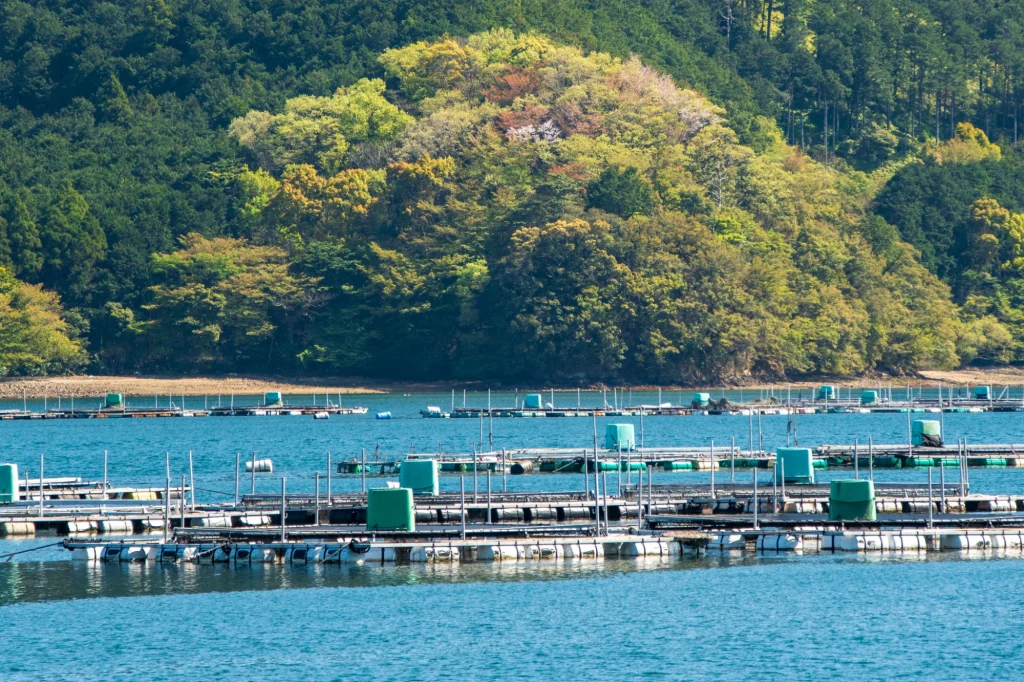 2026年春の便り紀北町