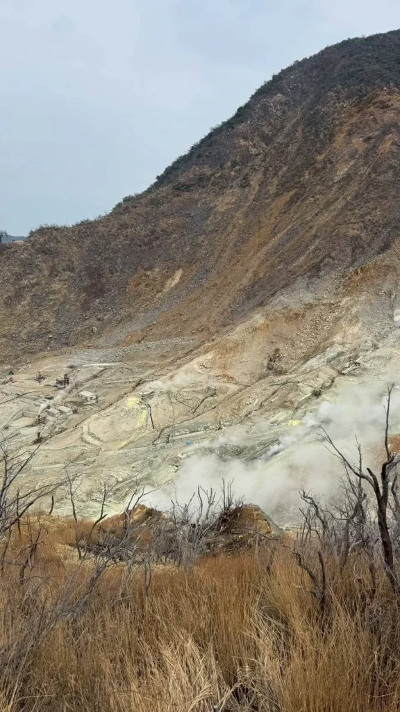 家族旅行箱根伊豆
